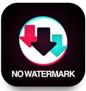 10 Aplikasi Pendownload Tiktok Tanpa Watermark